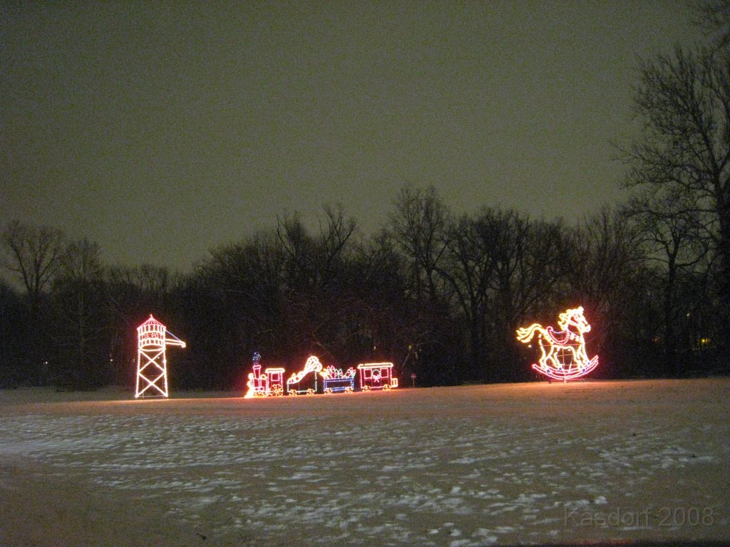 Christmas Lights Hines Drive 2008 034.jpg - The 2008 Wayne County Hines Drive Christmas Light Display. 4.5 miles of Christmas Light Displays and lots of animation!